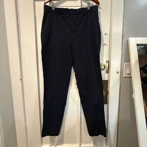 Everlane Men's Navy Chinos